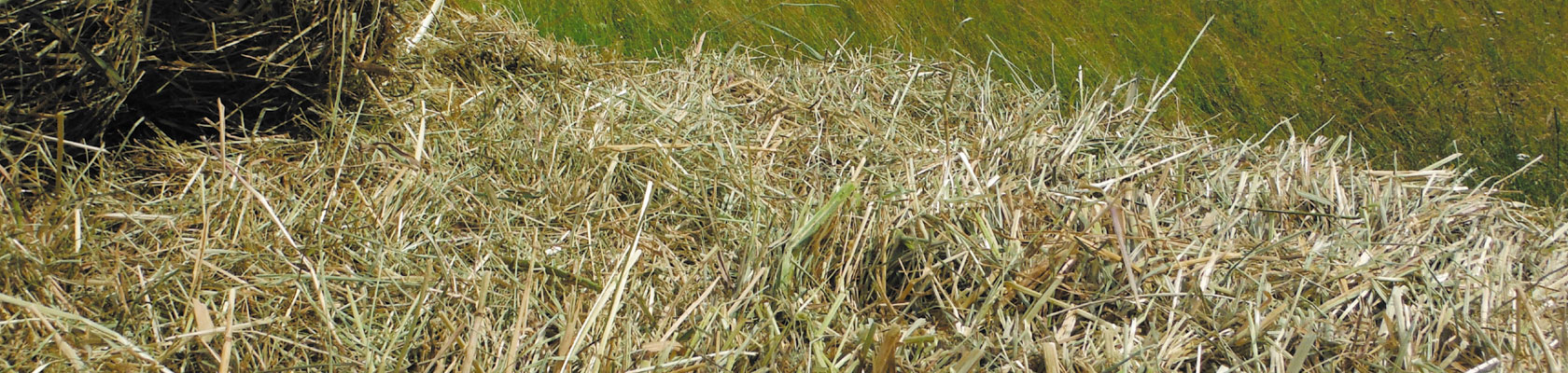 Ballette di fieno da prati stabili di Montagna