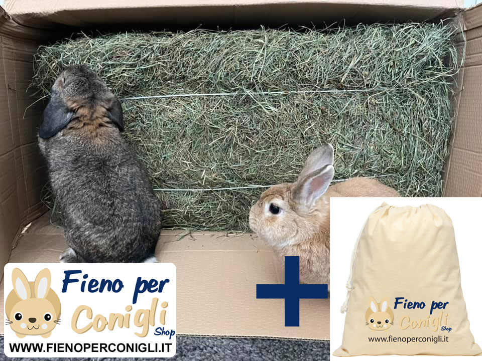 Fieno di Montagna per Conigli Alta Qualita' del Trentino - balletta da 15kg + SACCHETTO PORTA FIENO