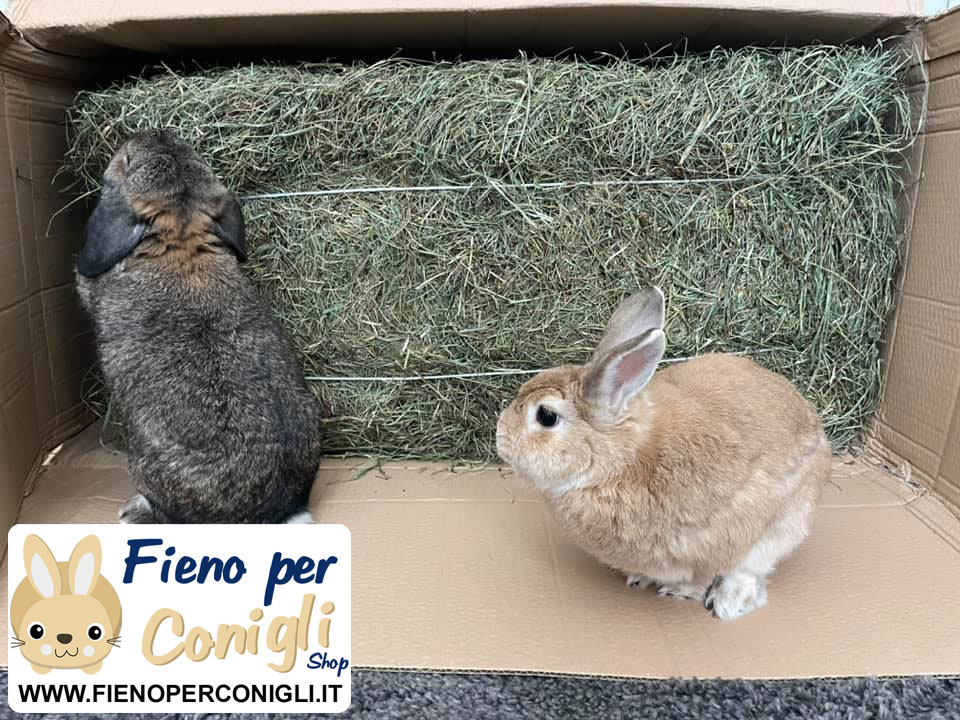 Fieno di Montagna per Conigli Alta Qualita' del Trentino - balletta da 15kg lav. artigianale